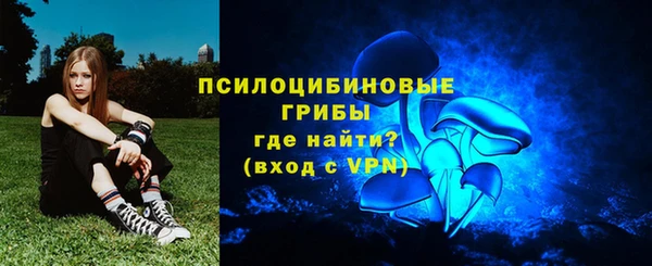 соль курить ск Богородск